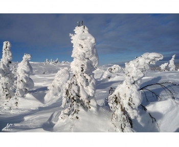 Сказочные образы. Артикул: 015